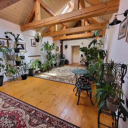 Hostel Cosmopolitan* Banská Štiavnica 외부 사진