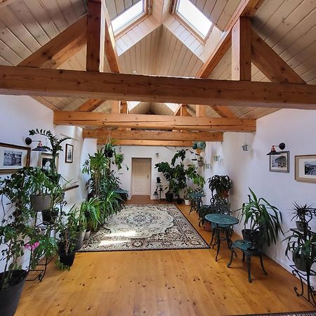 Hostel Cosmopolitan* Banská Štiavnica 외부 사진
