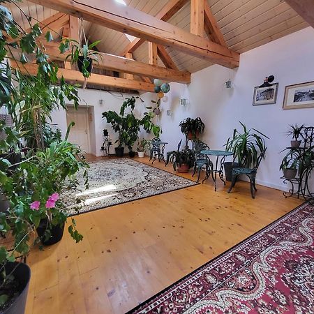 Hostel Cosmopolitan* Banská Štiavnica 외부 사진