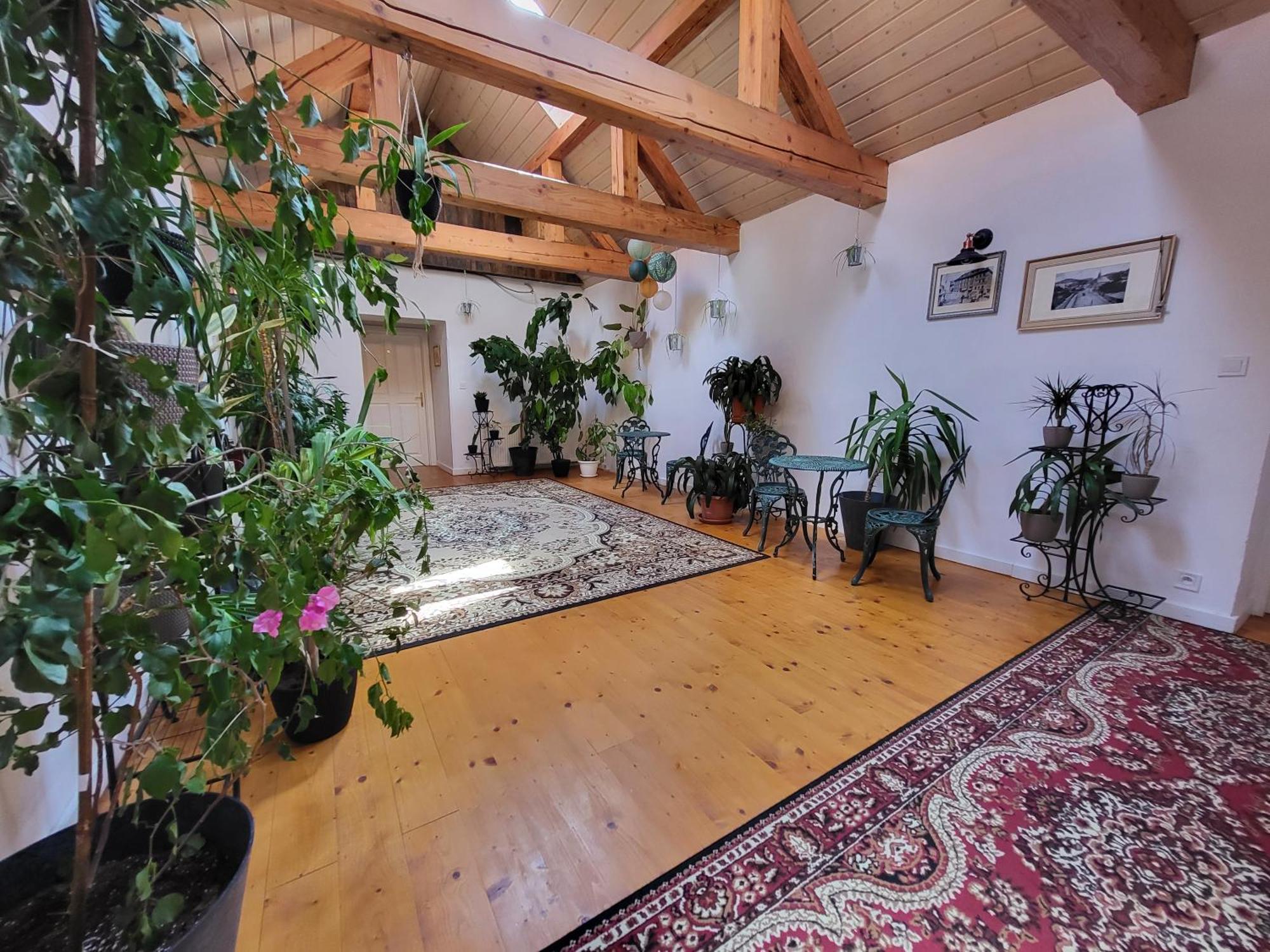 Hostel Cosmopolitan* Banská Štiavnica 외부 사진